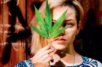 Marihuana medyczna - zagrożenie czy szansa