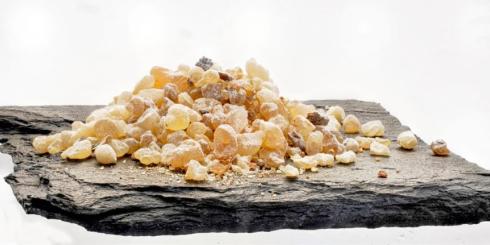 Na stany zapalne - kadzidłowiec zamiast leków