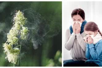 Alergia - jak się jej pozbyć? 