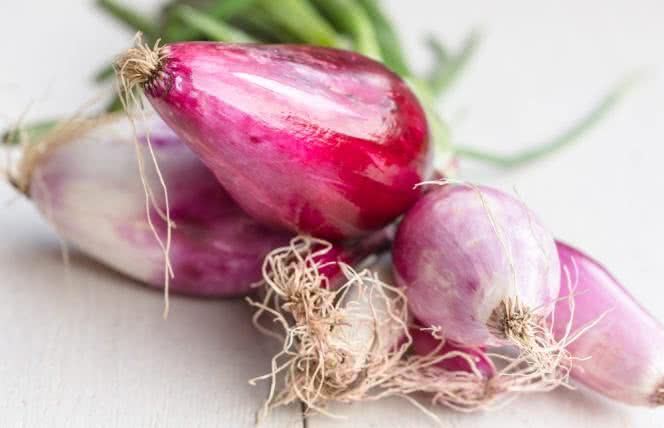 Cebula zwalcza komórki zombie