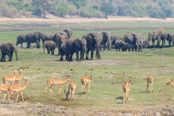 Dlaczego ludzie podróżują do Afryki?