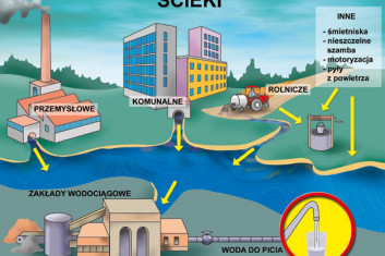 Najwięcej chemii wypijamy z wodą