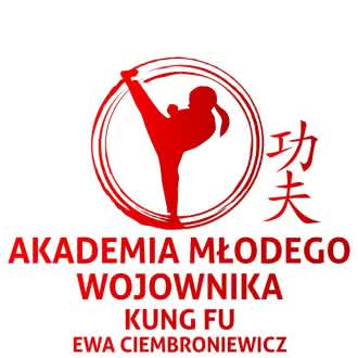 Akademia Młodego Wojownika Kung Fu