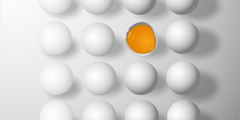 Jajka nie podwyższają poziomu cholesterolu