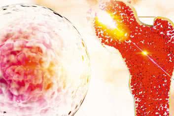 W poszukiwaniu zgubionych kości