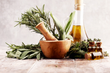 Ziołowe uderzenie w boreliozę