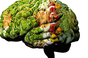 Czym karmić mózg?