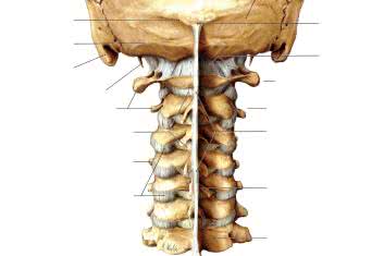 Ostry ból szyi: badanie i terapia dolnego odcinka kręgosłupa szyjnego