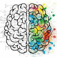 Jak poprawić pamięć i koncentrację? Dieta i suplementy