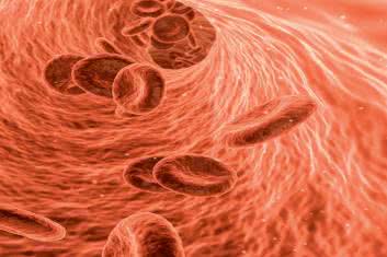 Śródbłonek kontra miażdżyca