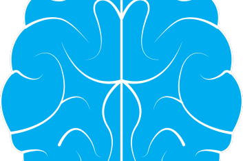 Mózg na szalce Petriego