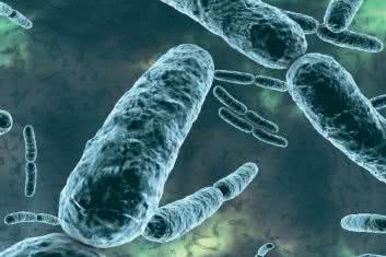 O niestrawności inaczej