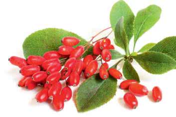 To może powstrzymać raka!