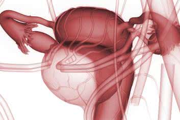 Bolesne miesiączki z perspektywy pięciu modeli osteopatycznych 