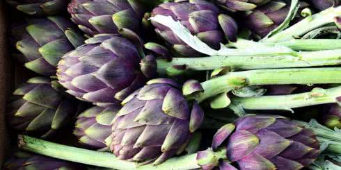 Karczochy chronią przed stresem oksydacyjnym 