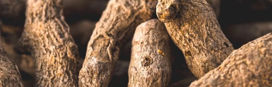 Kurkuma w leczeniu raka - badania potwierdzające skuteczność