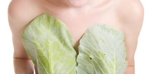 Od leptyny do greliny. Koniec z efektem jo-jo!