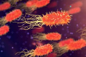 Mikrobiota jelitowa - sprzymierzeniec podczas leczenia onkologicznego