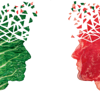 Wege dieta - czy warto przejść na dietę roślinną?