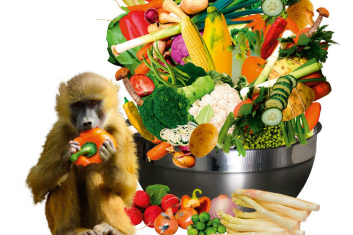 Aminokwasy i spółka