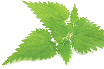 6 sposobów na uczulenie na zwierzęta