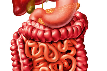 Zespół nieszczelnego jelita a osteopatia