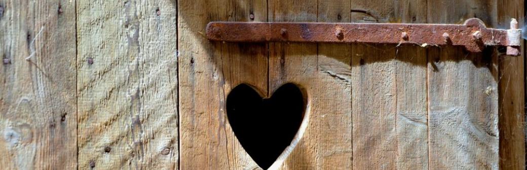 Światowy Dzień Toalet