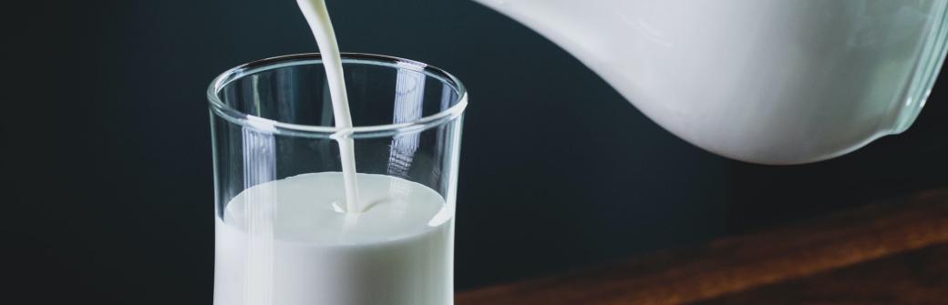 Światowy Dzień Mleka