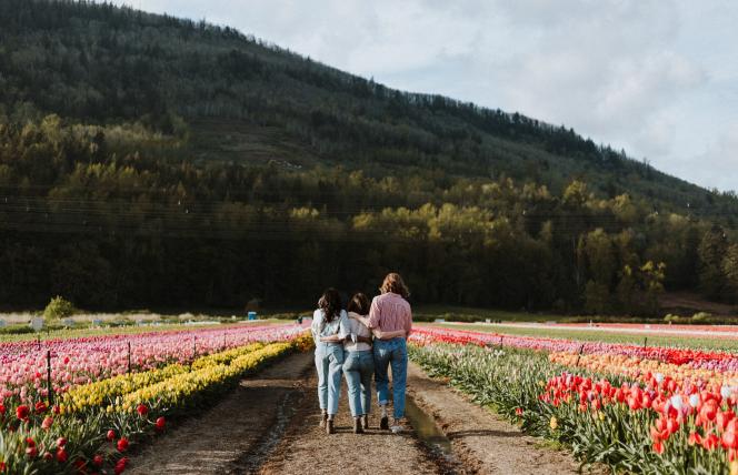 Adaptogeny - zioła, które pokochały kobiety z problemami hormonalnymi