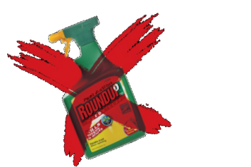 Prawda o… pestycydach