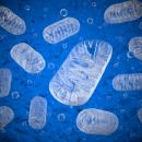 Medycyna mitochondrialna – w czym może Ci pomóc?