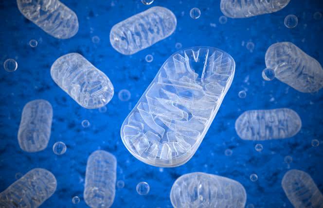 Medycyna mitochondrialna – w czym może Ci pomóc?