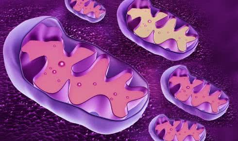 Medycyna mitochondrialna