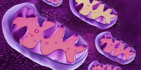 Medycyna mitochondrialna