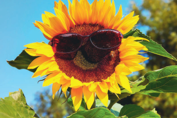 Przyjaciele odporności (1) NIE LEKCEWAŻ SŁOŃCA!