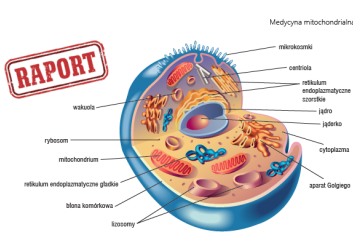 Medycyna mitochondrialna – nowe spojrzenie na odporność