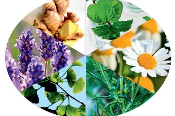 Niezawodne sposoby na ból głowy