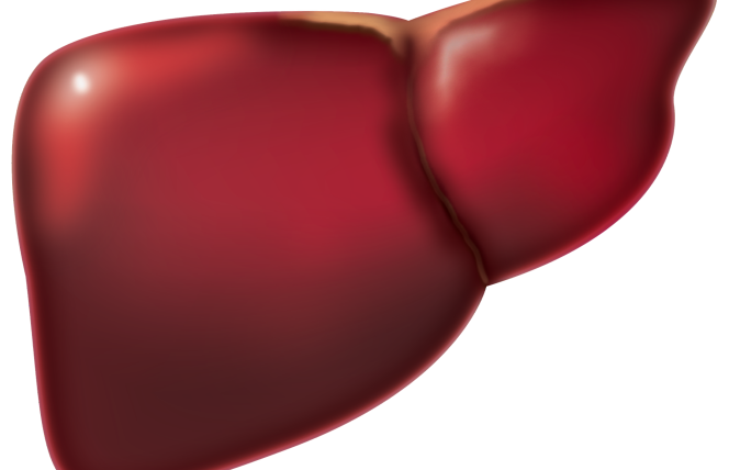 Wirusowe zapalenie wątroby (WZW) a rak wątrobowokomórkowy