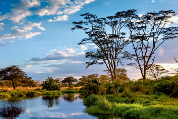 Niebezpieczni intruzi