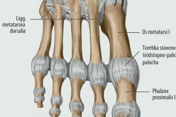 Terapia osteopatyczna w ostrych stanach pourazowych. Siła płynów w osteopatii