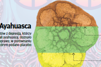 Poczuj się lepiej na haju