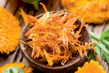 Do wesela się zagoi...