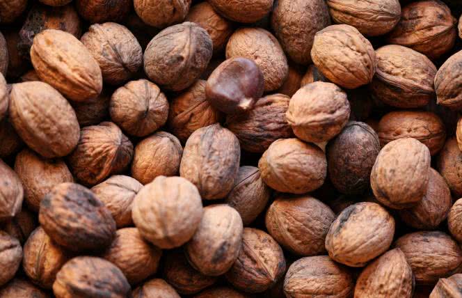 Wiosenna dieta według ajurwedy