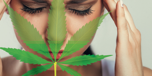Marihuana redukuje ból głowy 