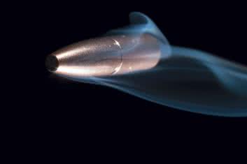 Zabójcze dla mężczyzn