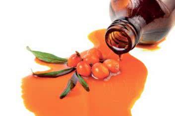 Zioła na menopauzę