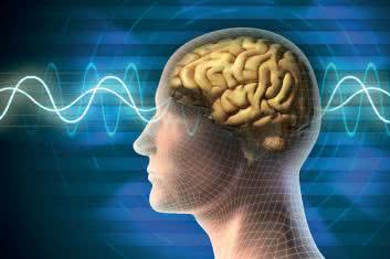 Wyhoduj nowe komórki mózgowe