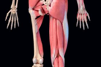 Terapia zespołu mięśnia gruszkowatego