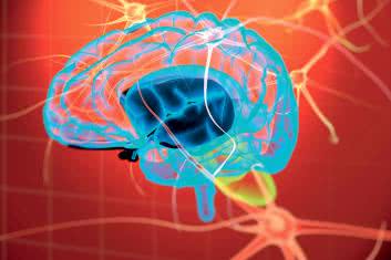 Autyzm terapia komórkami macierzystymi. Część 4