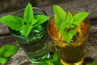 Julia Cember-Ogorzałek